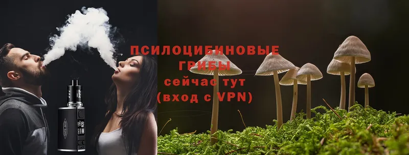 наркотики  Саратов  Псилоцибиновые грибы Magic Shrooms 